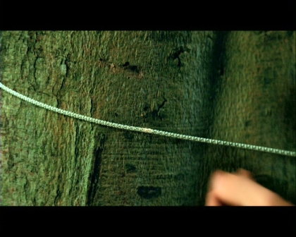 PDVD_792.jpg