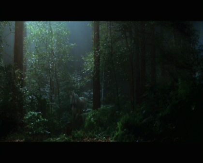 PDVD_844.jpg