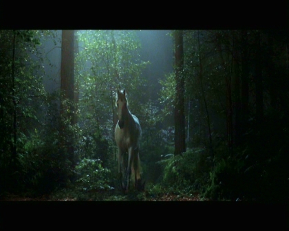 PDVD_846.jpg