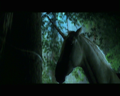 PDVD_849.jpg
