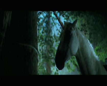 PDVD_850.jpg