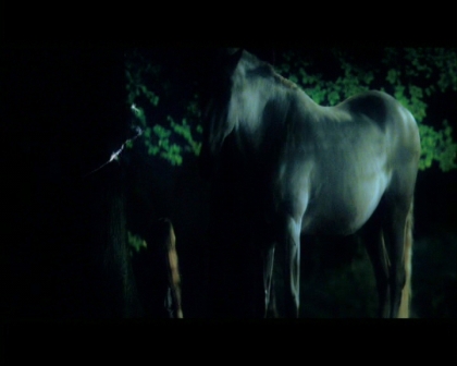 PDVD_851.jpg