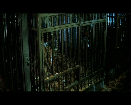 PDVD_874.jpg