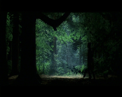 PDVD_890.jpg