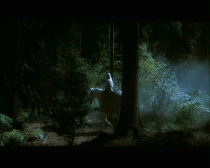 PDVD_923.jpg