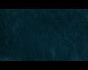 PDVD_1171