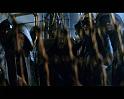 PDVD_1195