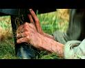 PDVD_1246