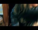PDVD_1343