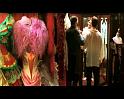 PDVD_1402