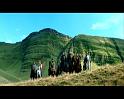 PDVD_1725