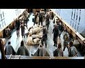 PDVD_1733
