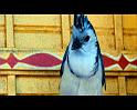 PDVD_1836