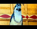 PDVD_1842