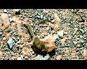 PDVD_1866