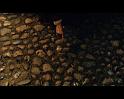 PDVD_1919
