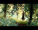 PDVD_2010
