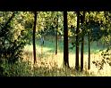 PDVD_2012