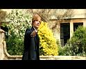 PDVD_2080