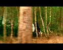 PDVD_2118