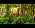 PDVD_2120