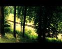 PDVD_2133