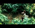 PDVD_2137
