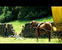 PDVD_2147