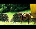PDVD_2148