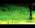 PDVD_2150
