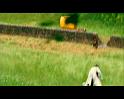 PDVD_2201