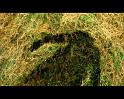 PDVD_2224