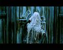 PDVD_2231