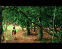 PDVD_2242