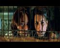 PDVD_2358