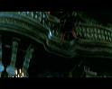 PDVD_2394