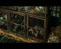 PDVD_2399