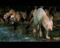 PDVD_2401