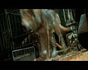 PDVD_2405