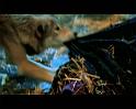 PDVD_2408