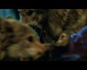 PDVD_2409