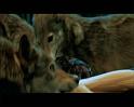 PDVD_2410