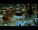 PDVD_2489
