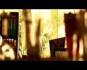 PDVD_2675