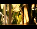 PDVD_2992