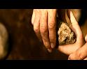PDVD_3263