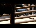 PDVD_3391
