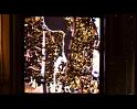 PDVD_3684