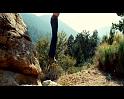 PDVD_3757