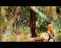 PDVD_3780